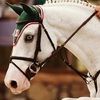 equinecloset equinecloset